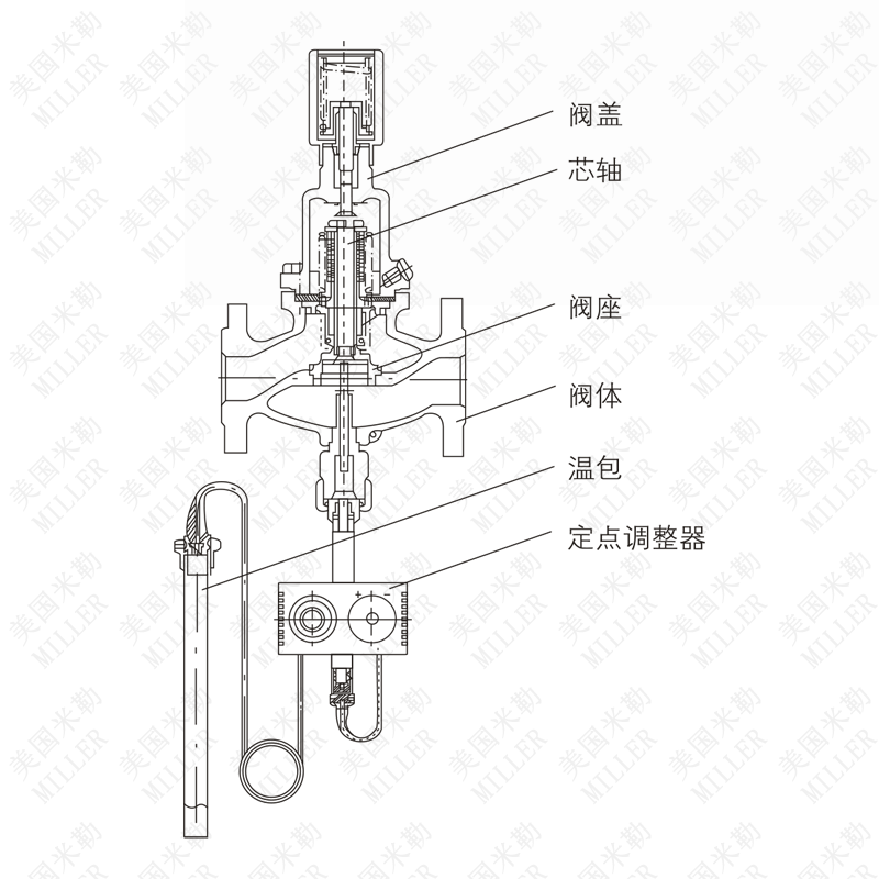 進口自力式溫度控制閥(圖1)