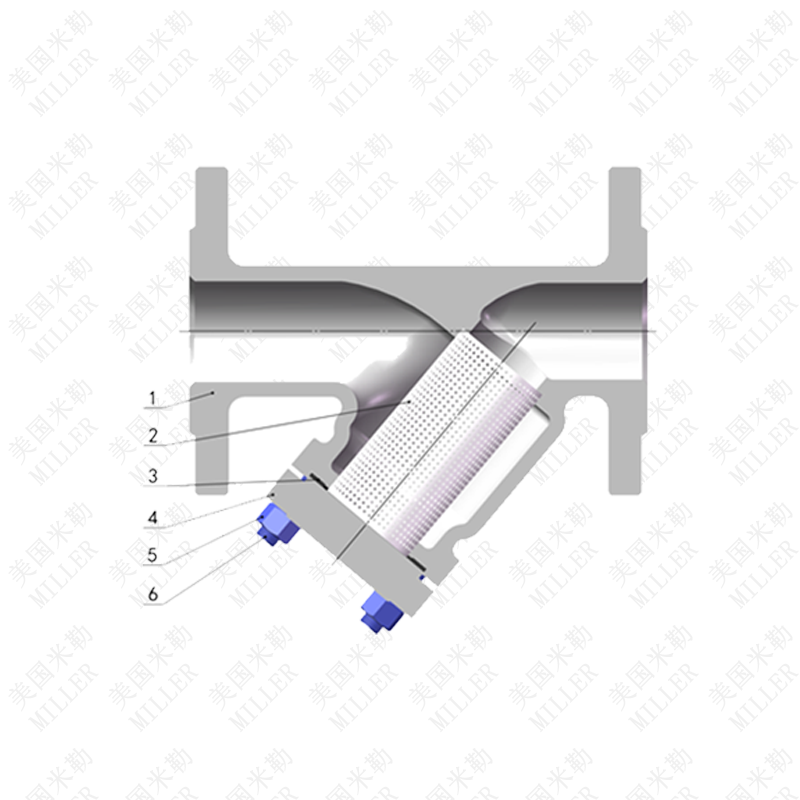 進口德標Y型過濾器(圖1)