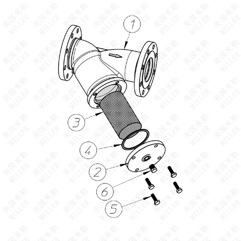 進口美標過濾器(圖1)