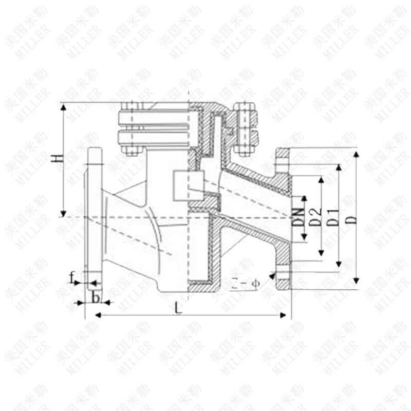 進口襯氟止回閥(圖1)